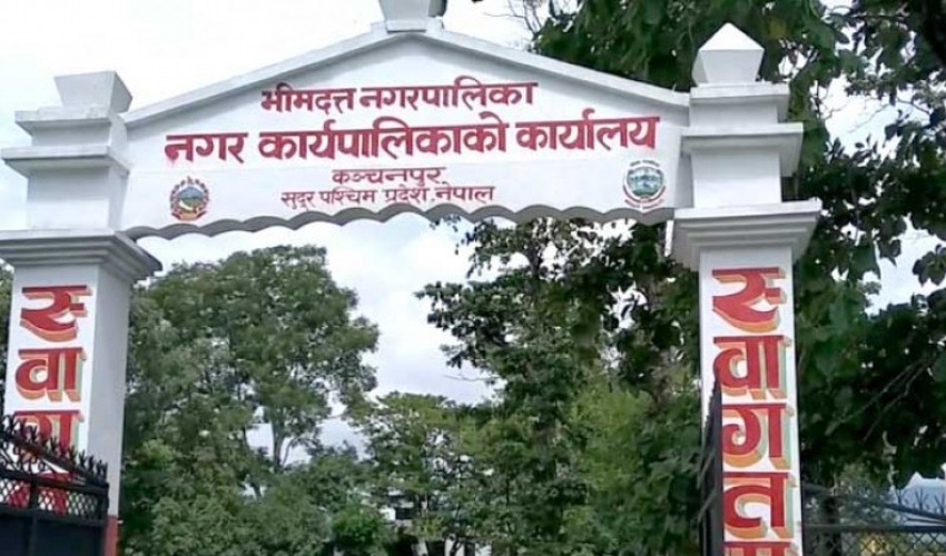 भीमदत्त नगरपालिकाको प्रोफाइल निर्माण
